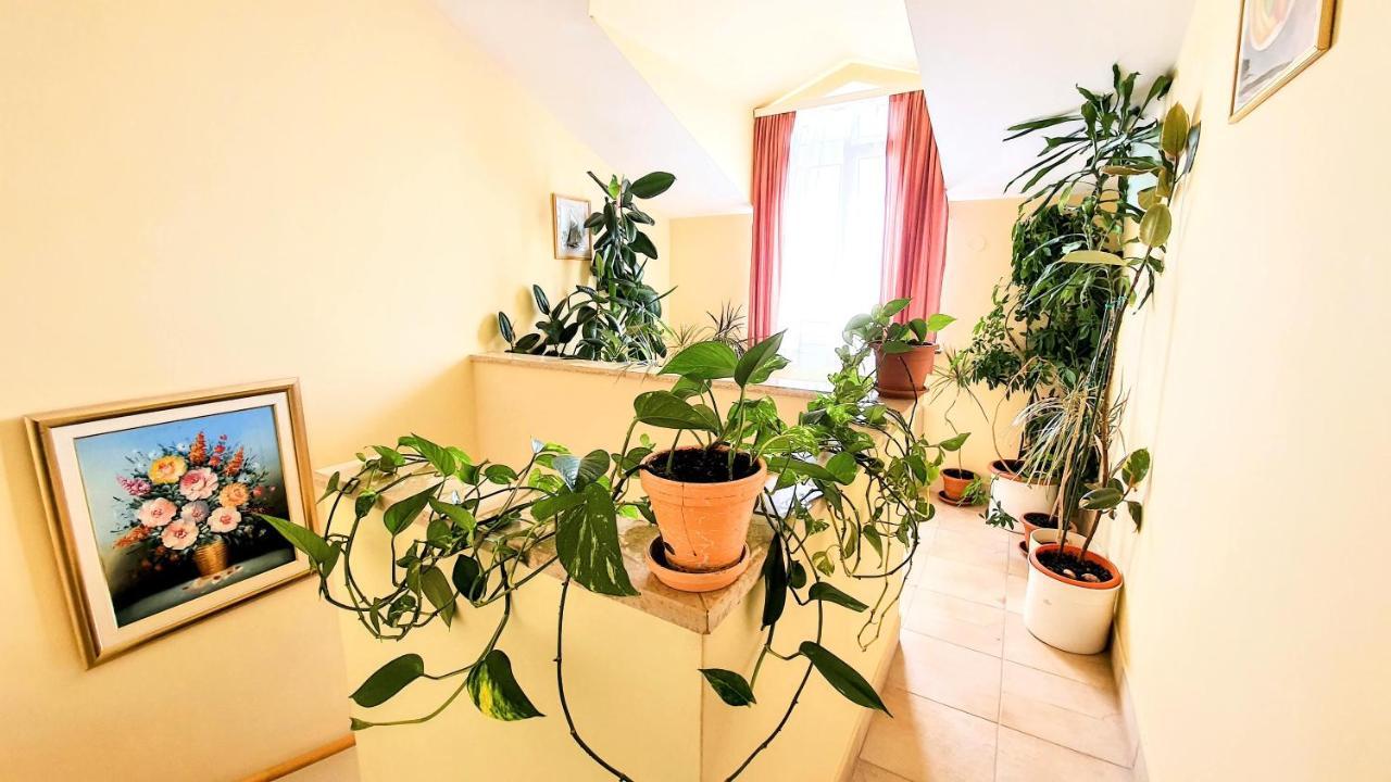 Villa Palcic Novalja Luaran gambar